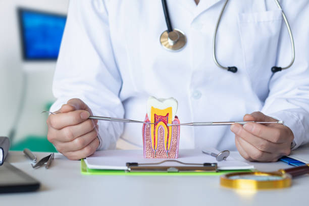 Best Emergency Orthodontic Repairs in Mount Morris, MI